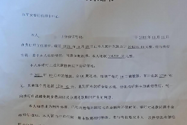 兴文融资清欠服务